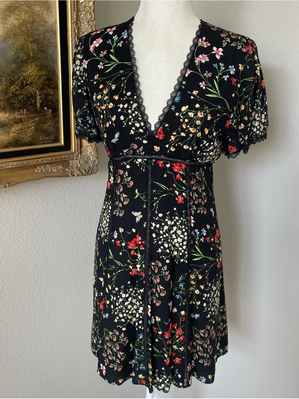 Alice + Olivia Amara Floral Dress V Neck Sz 6 NWOT